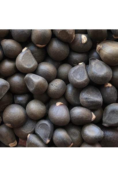 Ксантоцерас горобинолистий насіння